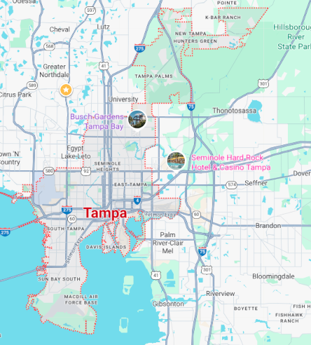 Tampa Map Picture